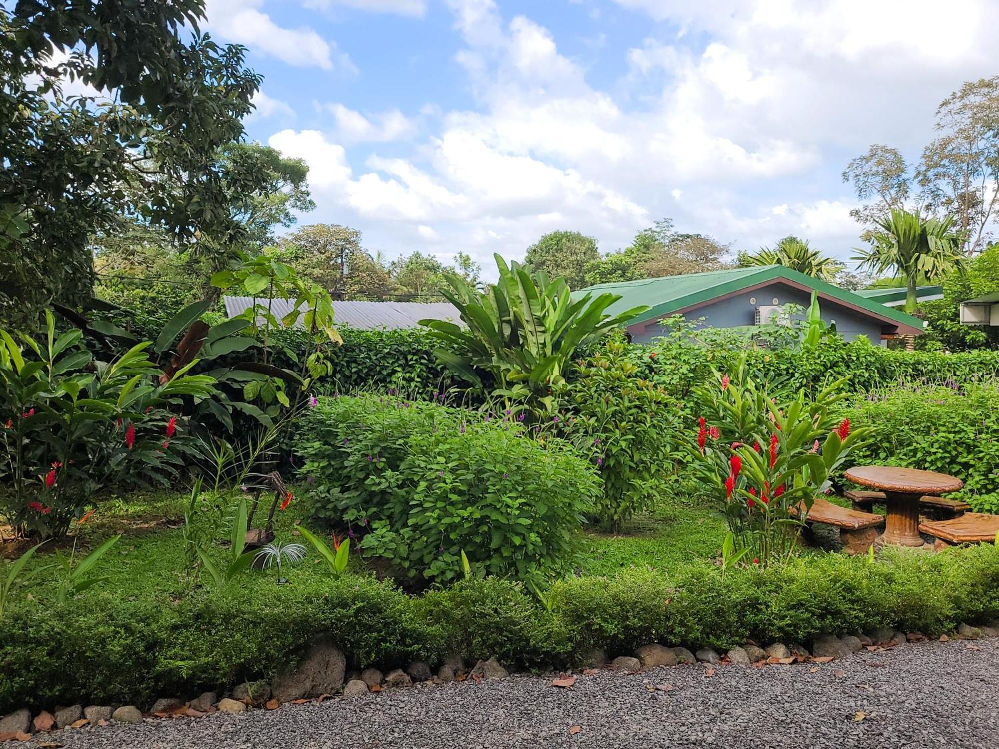 Arenal Sweet Cabins La Fortuna Extérieur photo